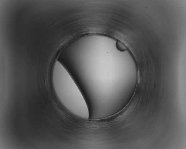 X0000089900253200706281140