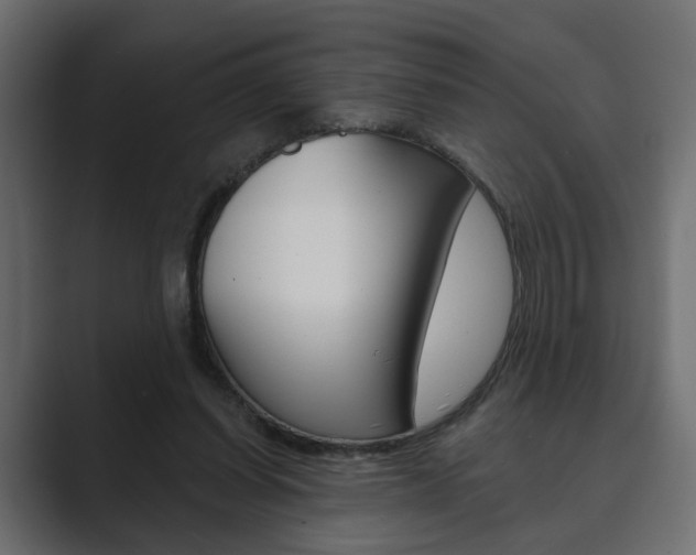 X0000089900254200706281140