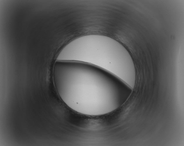 X0000089900255200706281140