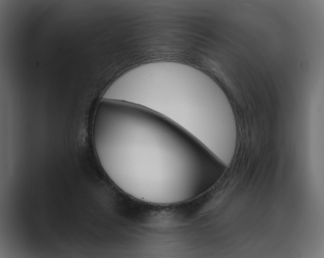 X0000089900259200706281140
