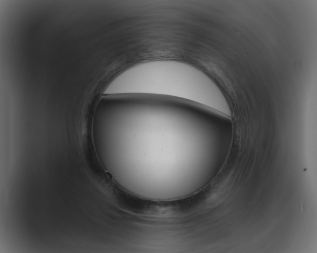 X0000089900260200706281140