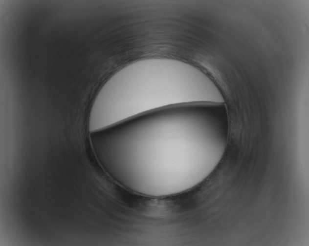 X0000089900261200706281140