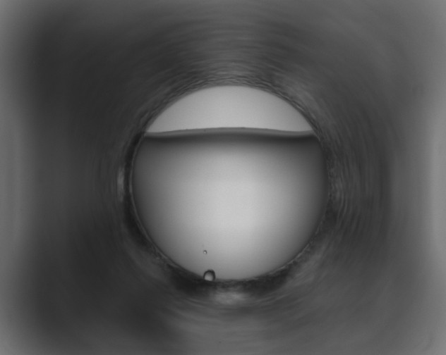 X0000089900262200706281140
