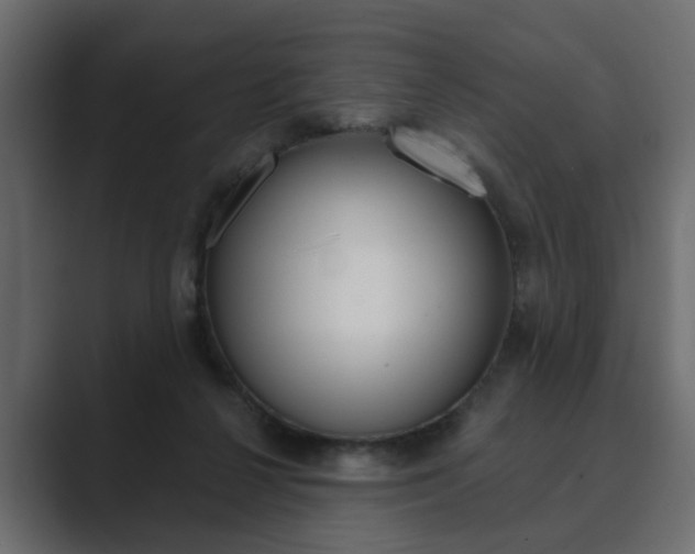 X0000089900264200706281140