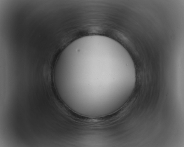 X0000089900265200706281140