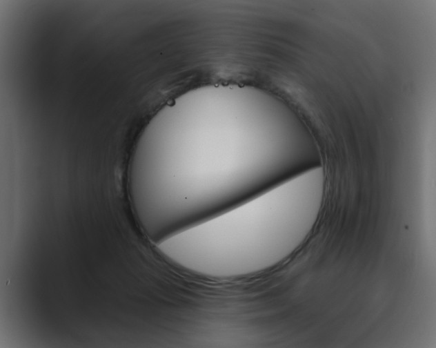 X0000089900269200706281140