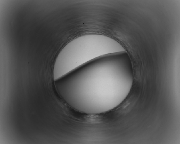X0000089900273200706281140