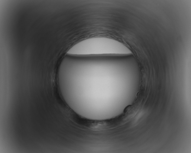 X0000089900274200706281140