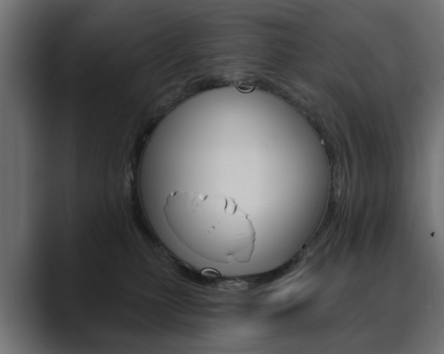 X0000089900279200706281140