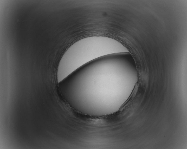 X0000089900284200706281140