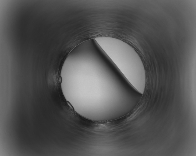 X0000089900285200706281140
