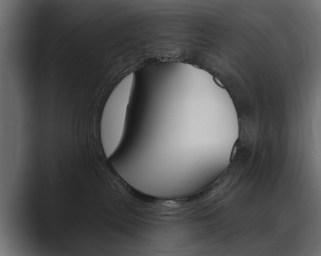 X0000089900287200706281140
