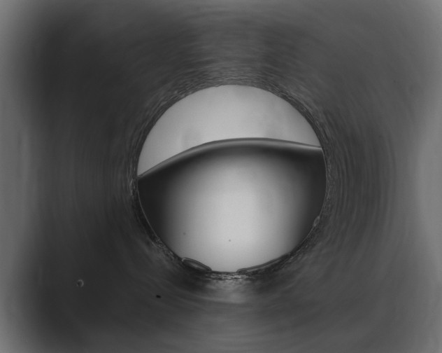 X0000089900288200706281140