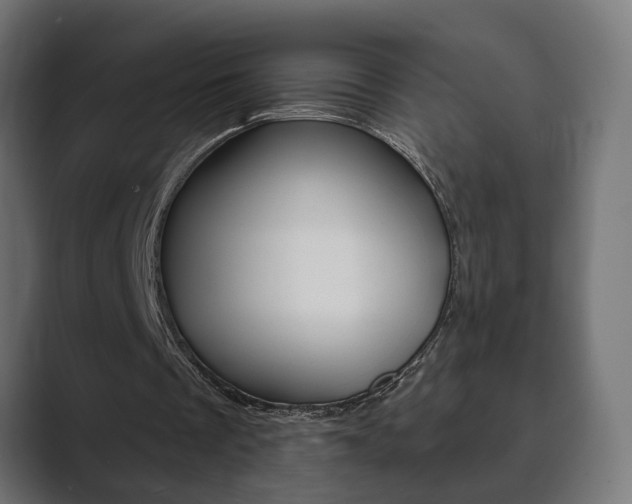 X0000089900289200706281140