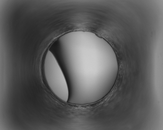 X0000089900290200706281140