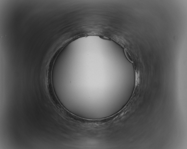 X0000089900291200706281140