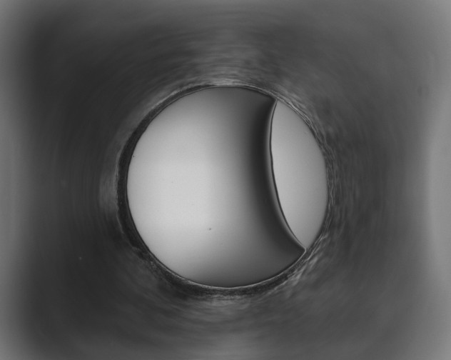 X0000089900292200706281140