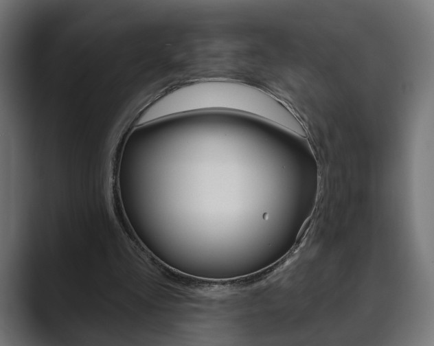 X0000089900293200706281140