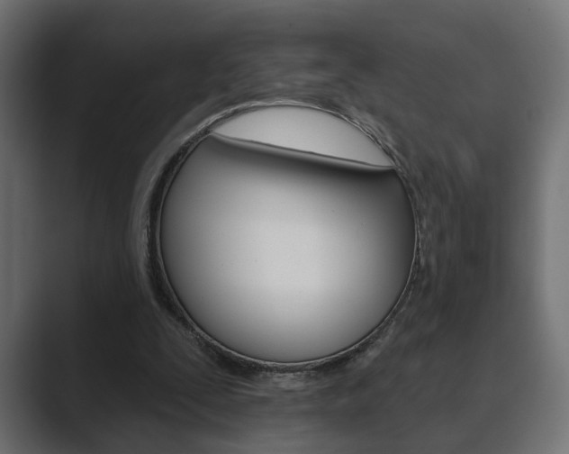 X0000089900295200706281140
