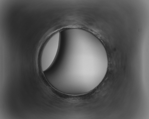 X0000089900296200706281140