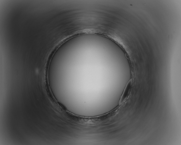X0000089900297200706281140