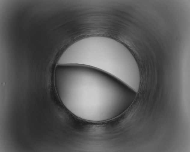 X0000089900303200706281140