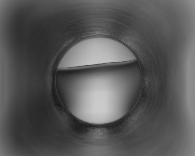 X0000089900304200706281140