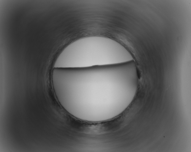 X0000089900306200706281140