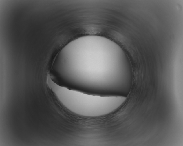 X0000089900307200706281140