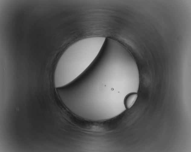 X0000089900308200706281140
