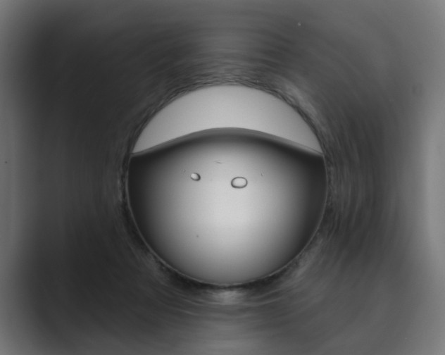 X0000089900313200706281140