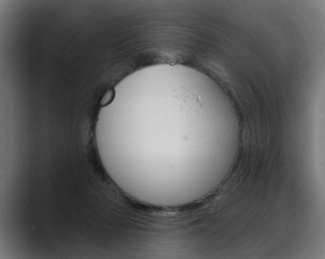 X0000089900318200706281140