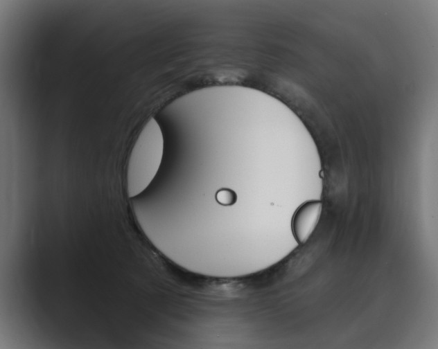 X0000089900321200706281139