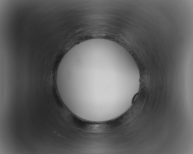 X0000089900323200706281139
