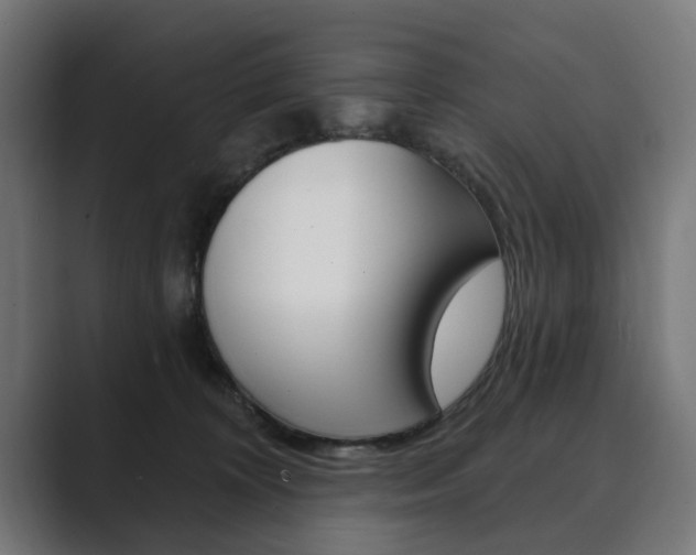 X0000089900324200706281139
