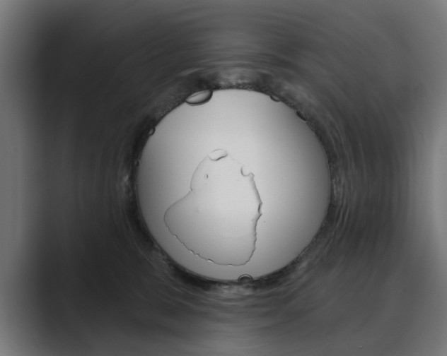 X0000089900327200706281139