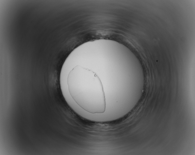 X0000089900328200706281139
