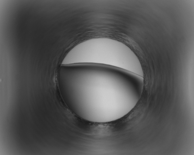 X0000089900329200706281139