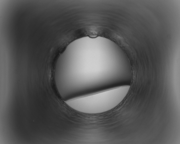 X0000089900331200706281139
