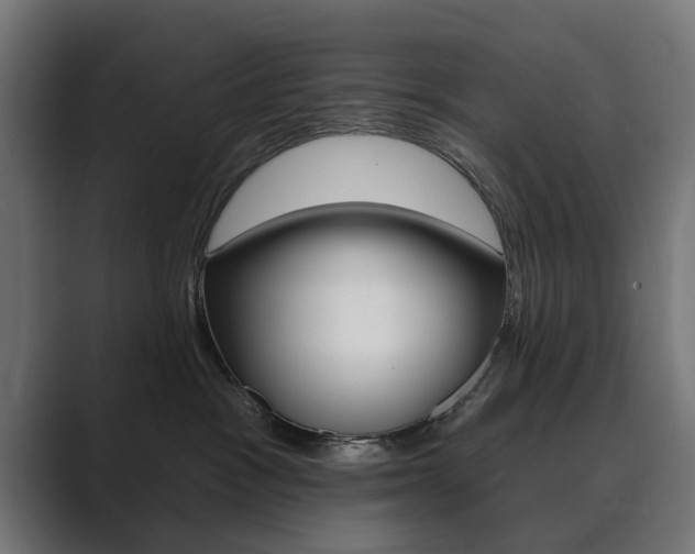 X0000089900333200706281139