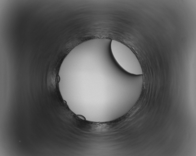X0000089900334200706281139