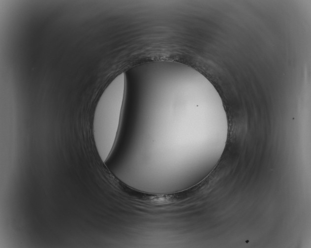 X0000089900335200706281139
