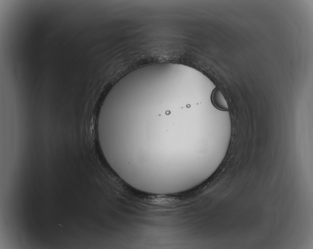 X0000089900336200706281139