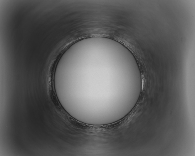 X0000089900339200706281139