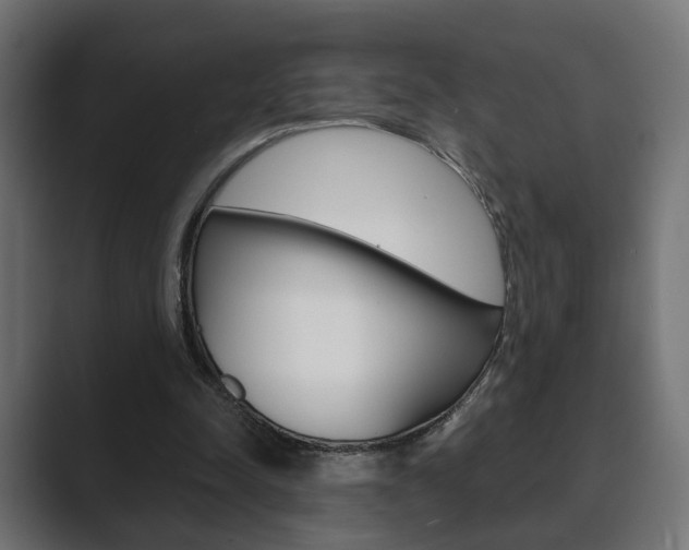 X0000089900342200706281139