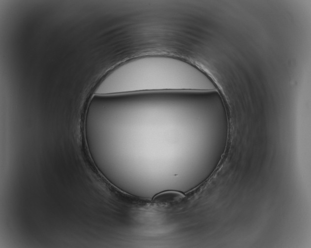X0000089900345200706281139