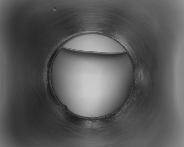 X0000089900346200706281139