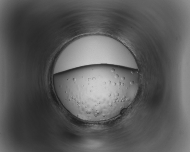 X0000089900347200706281139