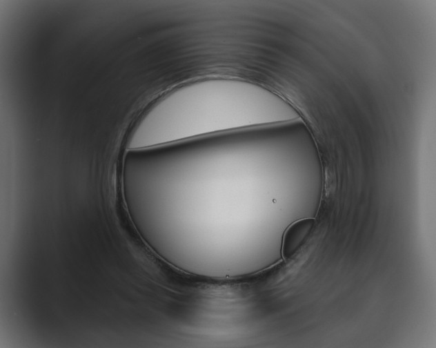 X0000089900349200706281139