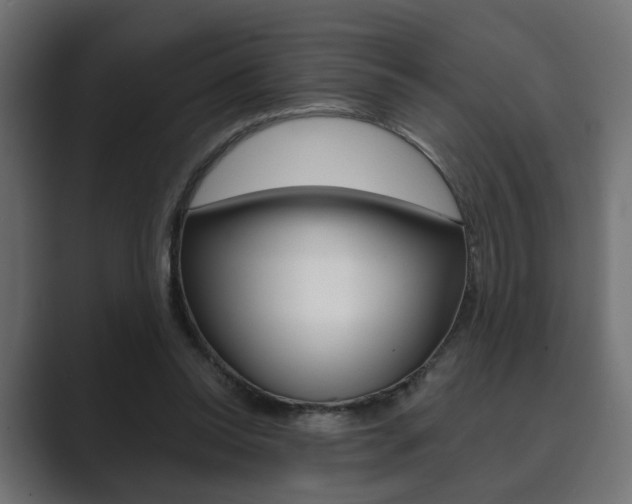 X0000089900350200706281139